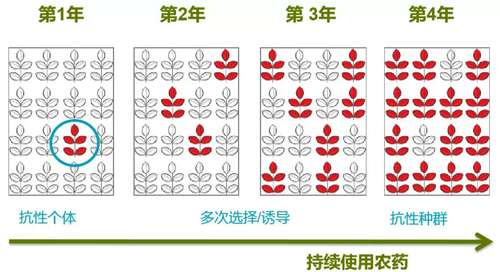 植保無人機作業(yè)技術規(guī)范插圖14 連續(xù)使用單一農藥易產生抗性