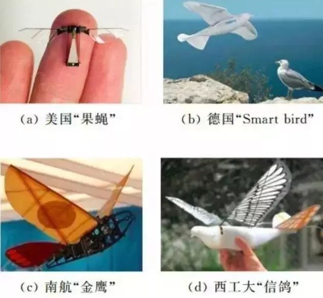 未來戰(zhàn)場的新成員:仿生無人機插圖3 無人機人工智能