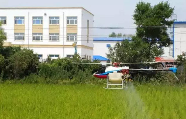 樺川縣植保無人機(jī)為水稻保駕護(hù)航插圖 樺川縣植保無人機(jī)為水稻保駕護(hù)航