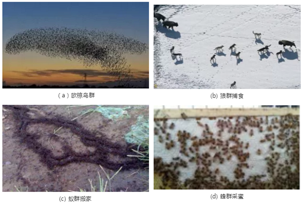 1598232236420872.png 無人機(jī)集群技術(shù)現(xiàn)狀與趨勢