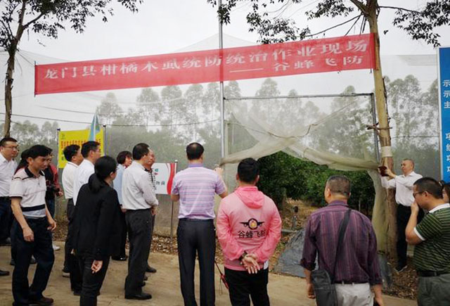 植保無人機(jī)助力龍門縣柑橘黃龍病統(tǒng)一防控插圖 植保無人機(jī)助力龍門縣柑橘黃龍病統(tǒng)一防控