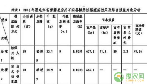 肇源縣植保無(wú)人機(jī)施藥防控稻瘟病技術(shù)試驗(yàn)初報(bào) 防控稻瘟病效果及綜合效益對(duì)比分析