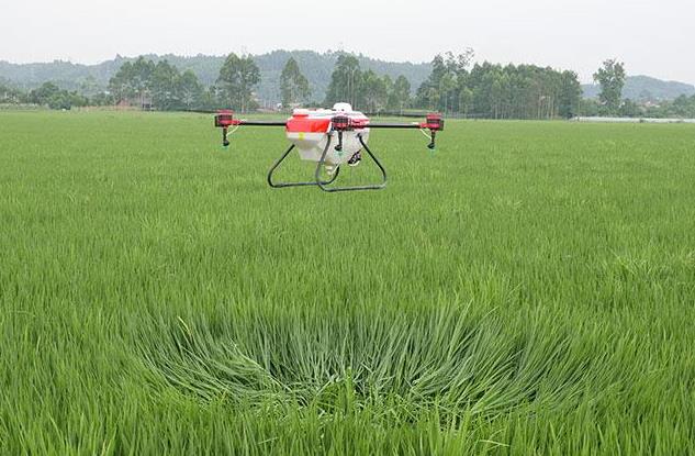 樂清無人機(jī)水稻田3分鐘完成10多畝農(nóng)田施藥插圖1 無人機(jī)的作業(yè)效率是人工噴灑的10-15倍