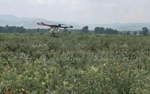 慶城遙控無人機田間灑農藥