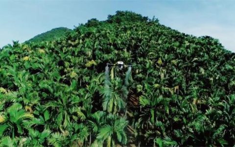 植保無(wú)人機(jī)的應(yīng)用？解鎖中國(guó)無(wú)人機(jī)農(nóng)業(yè)黑科技
