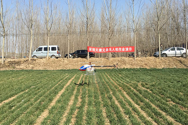 小麥除草劑飛防作業(yè)注意事項插圖1 植保無人機噴灑除草劑作業(yè)