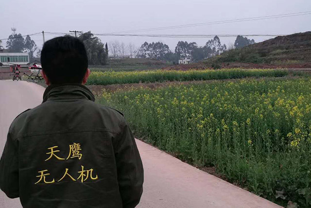 油菜花田植保無人機(jī)噴灑農(nóng)藥插圖2 的植保無人機(jī)