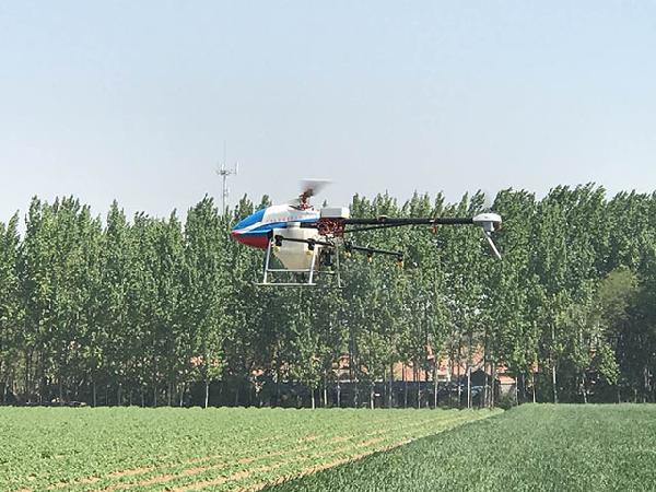 山東昌邑植保無人機(jī)助推小麥病蟲害防治插圖 山東昌邑植保無人機(jī)助推小麥病蟲害防治