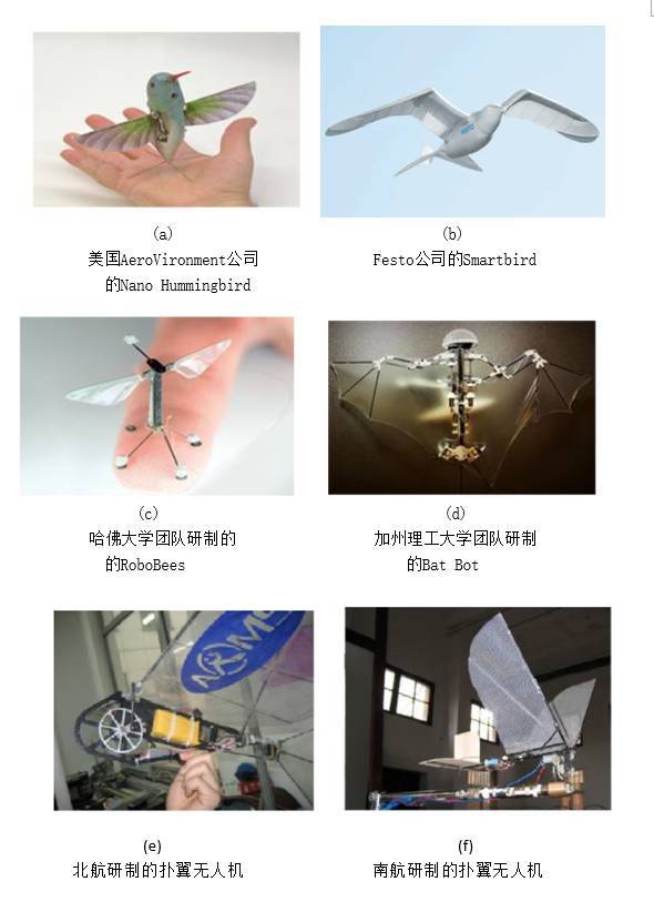 撲翼仿生飛行器發(fā)展進(jìn)展插圖6 撲翼仿生飛行器發(fā)展進(jìn)展