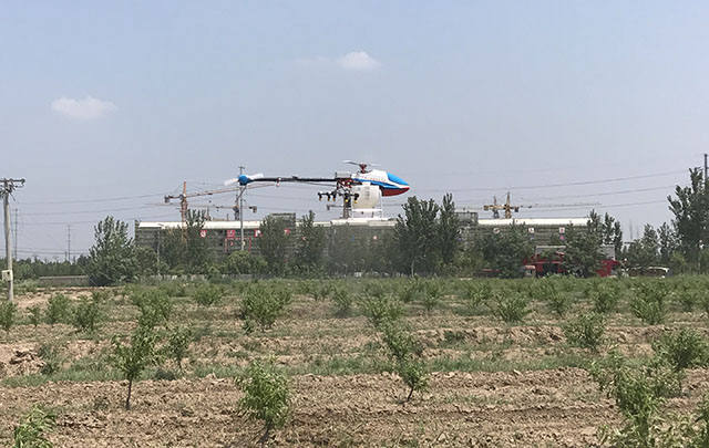 無棣縣植保無人機(jī)防治桃樹病蟲害插圖 無棣縣植保無人機(jī)防治桃樹病蟲害