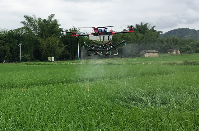 龍門縣植保無人機(jī)助力病蟲害防治插圖 龍門縣植保無人機(jī)助力病蟲害防治