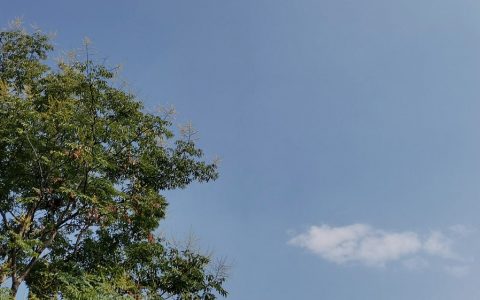 無(wú)人機(jī)小型化趨勢(shì)之下，發(fā)展成熟需關(guān)注三點(diǎn)！