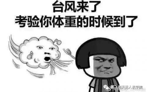 無人機(jī)怎樣探測臺(tái)風(fēng)，無人機(jī)在氣象領(lǐng)域應(yīng)用優(yōu)勢在哪兒？