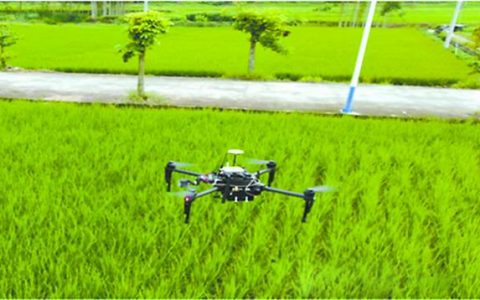 無人機低空遙感高效獲取作物信息（可彌補現(xiàn)有航天、航空遙感技術(shù)缺陷）