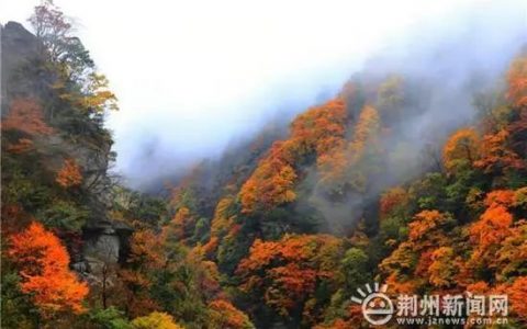 神農(nóng)架首屆無人機(jī)航拍大賽（冠軍獎金20萬元來報名吧）