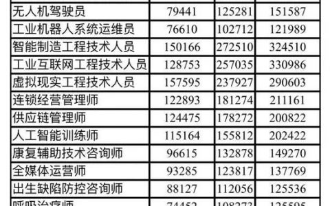 北京新職業(yè)薪酬報告：無人機駕駛員無人機裝調檢修工相榜