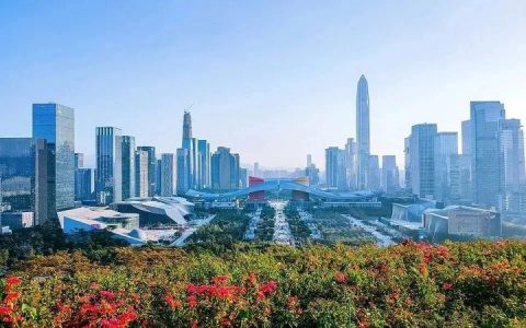 深圳無人機企業(yè)超1200家，2020年產值達500億元
